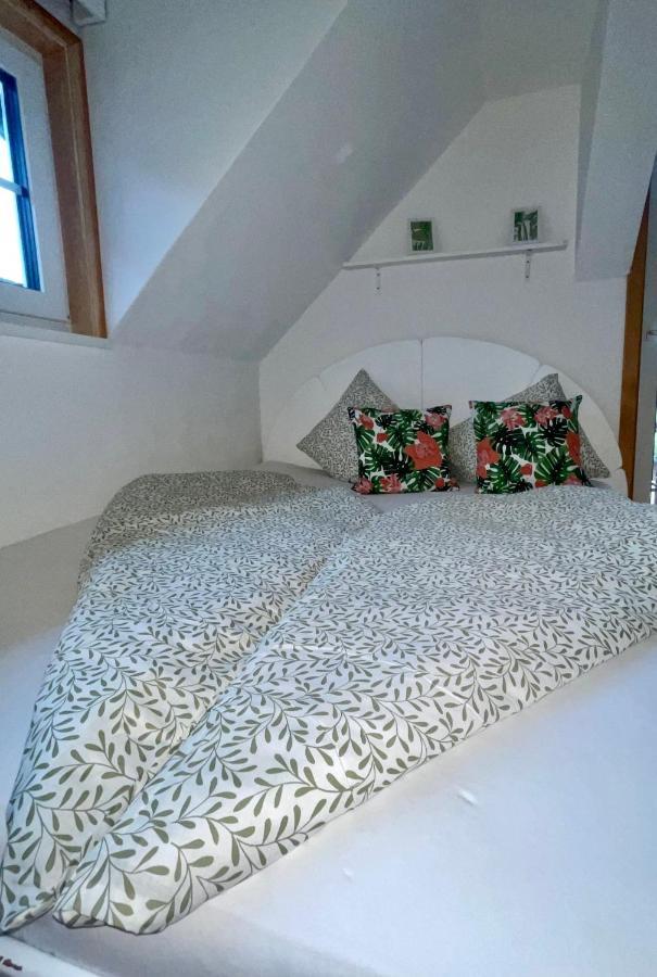 Almsternderl 2.0 - Gemuetliches Appartment In Gosau Buitenkant foto