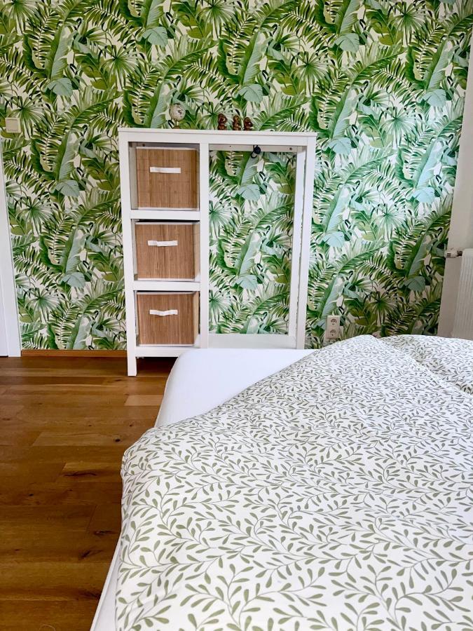Almsternderl 2.0 - Gemuetliches Appartment In Gosau Buitenkant foto